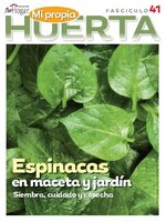 La Huerta en Casa